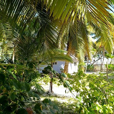 Chez Gigi - Eco Lodge 玛哈威 外观 照片