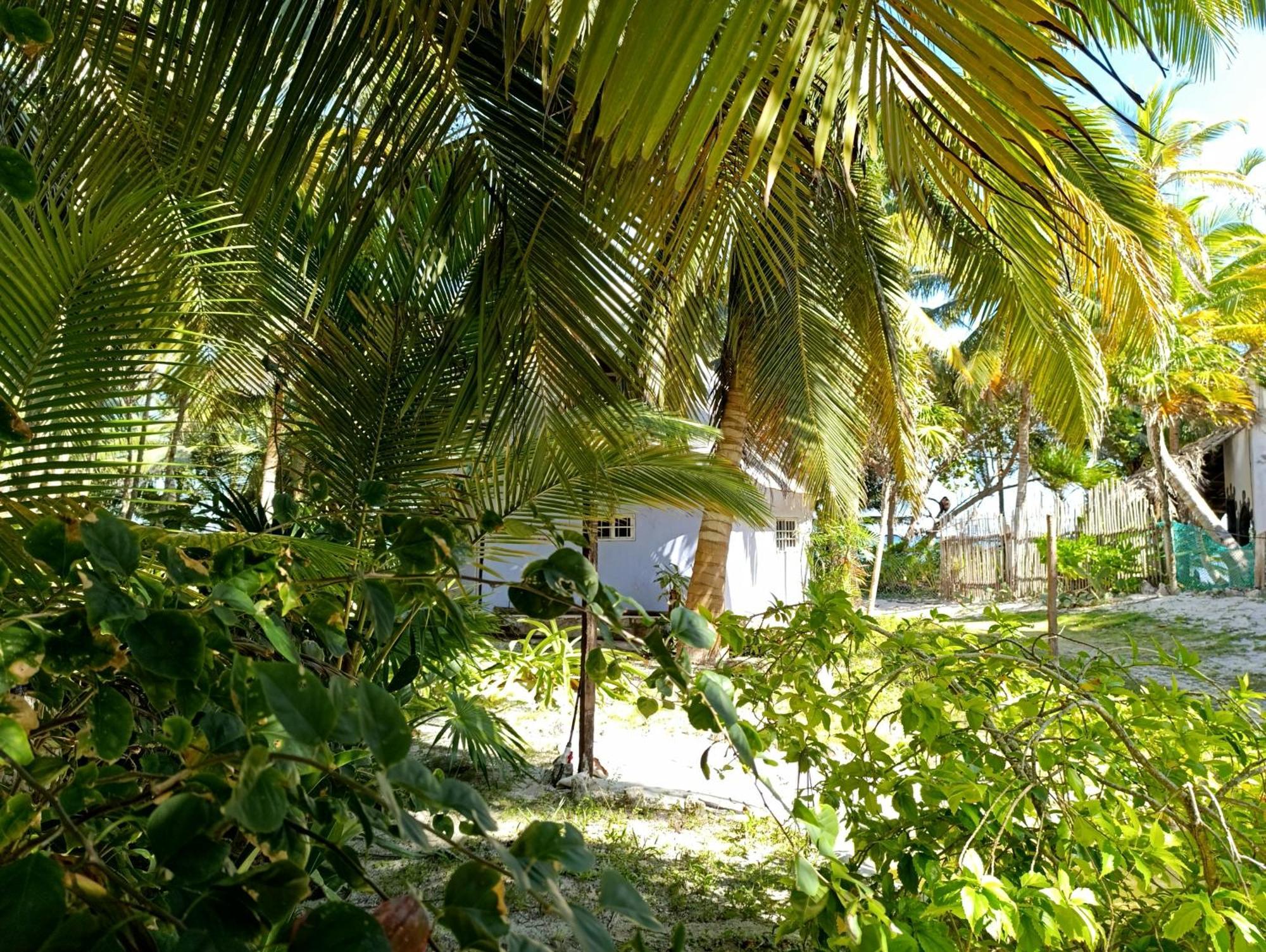 Chez Gigi - Eco Lodge 玛哈威 外观 照片