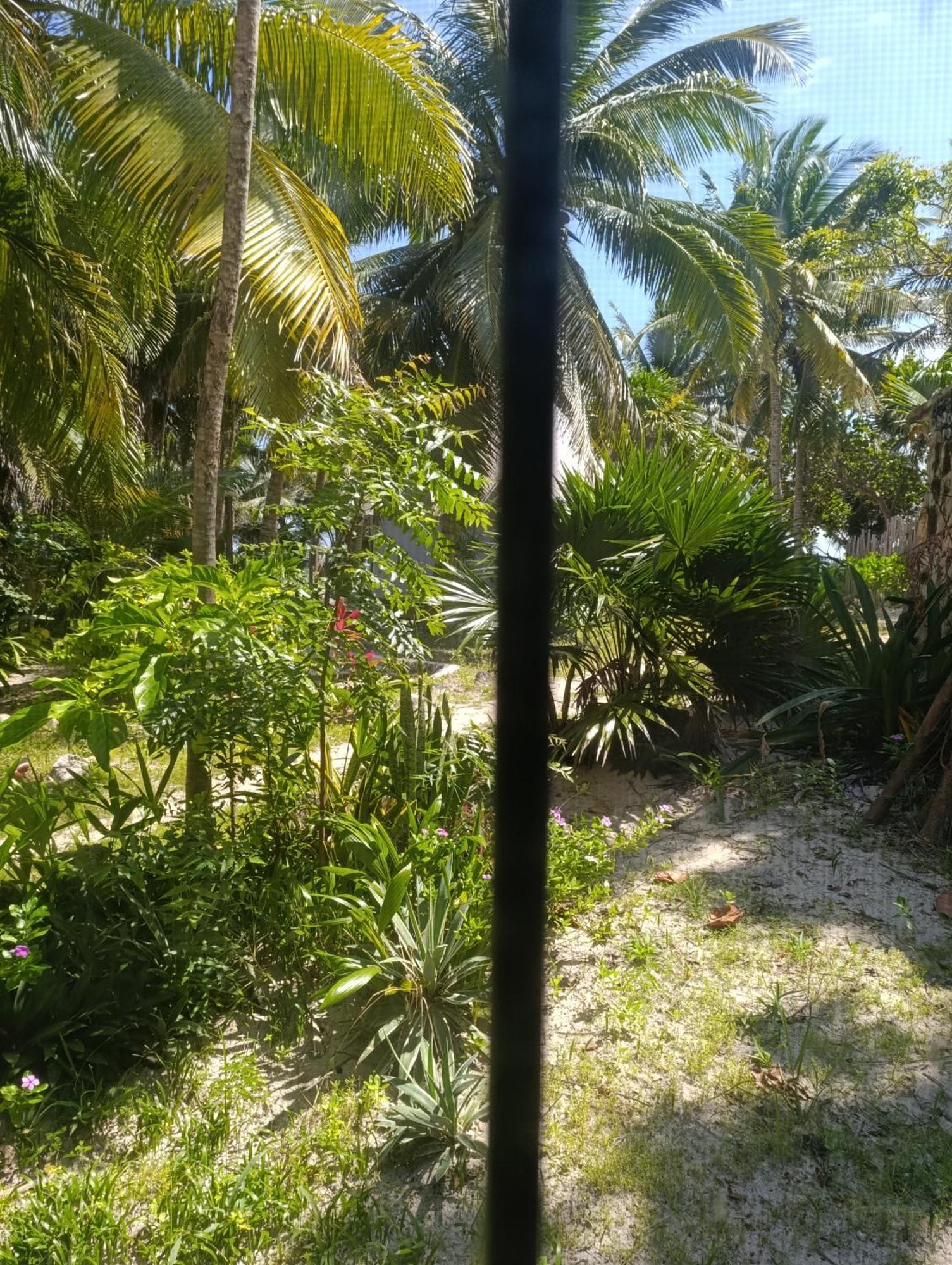 Chez Gigi - Eco Lodge 玛哈威 外观 照片
